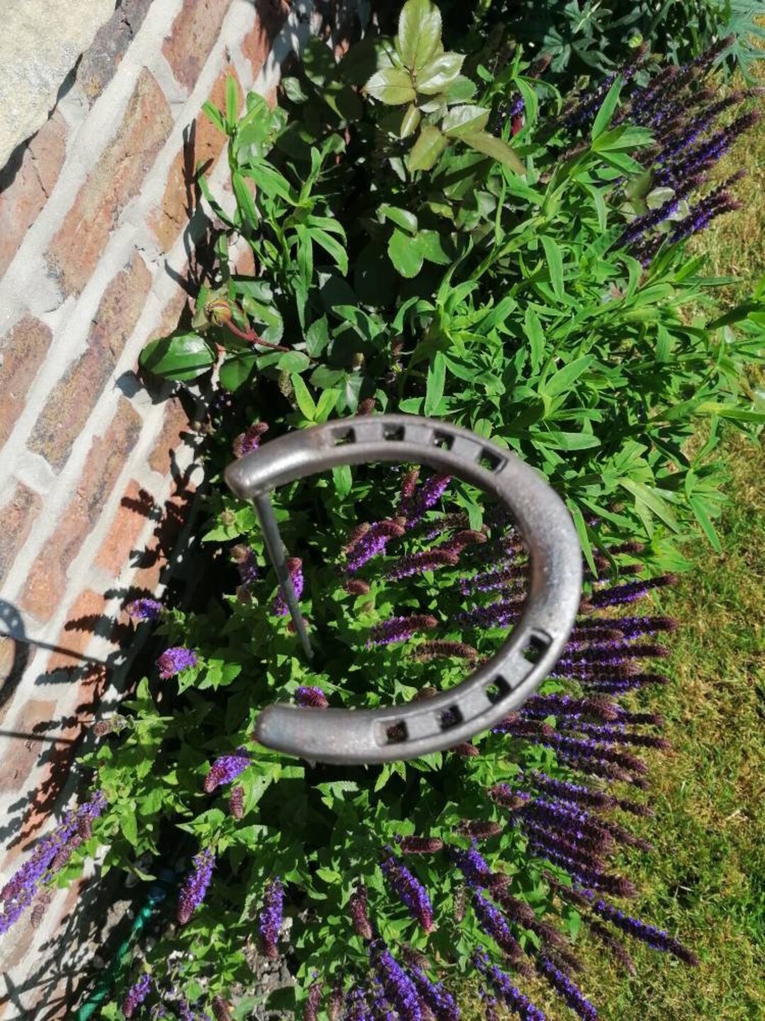 Set of 5 Horseshoe Style Plant Supports. Etsy