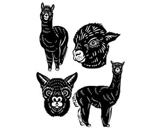 Peut inclure: Quatre illustrations en silhouette noire et blanche d'alpagas. Les alpagas sont tournés dans différentes directions. Un alpaga est debout, tandis que les trois autres ne montrent que leurs têtes.