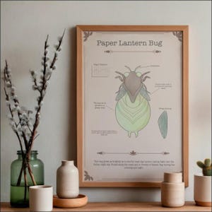 Op de afbeelding: Een ingelijste print getiteld "Paper Lantern Bug" met een illustratie van een gestileerd insect. De print zit in een licht houten frame en wordt tentoongesteld met decoratieve vazen, een glazen pot met takken en een kleine cactus in pot.