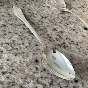 Serving Spoon Remembrance by INTERNATIONAL SILVER 1847 Rogers Bros, Vintage Silver Plate Flatware, Silverware, Silverplate Serving Spoon