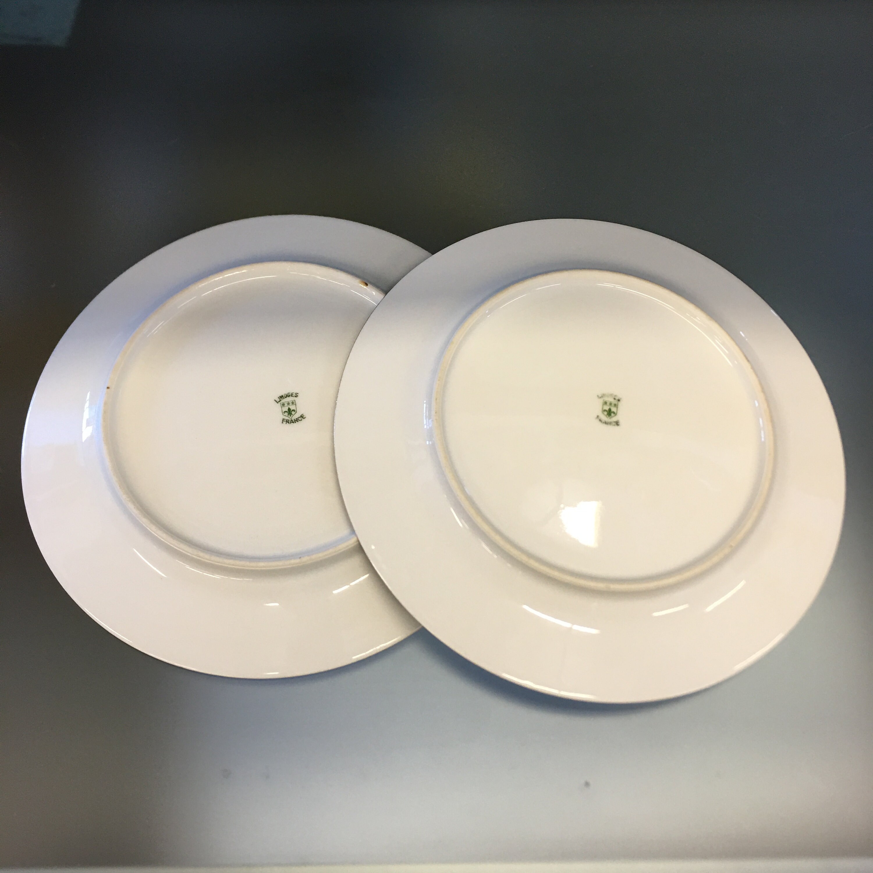 Limoge France Rose Trellis Two Salad Plates 7 Inch Plates Etsy