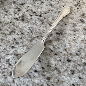 Master Butter Streuer, 1847 Rogers Rehäubigkeit, IST, von INTERNATIONAL SILVER, Silberplattenbesteck, Buttermesser
