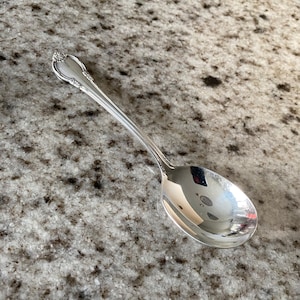Sugar Spoon, Remembrance by INTERNATIONAL SILVER 1847 Rogers Bros Vintage Silver Plate Flatware Silverware Silverplate, Sugar Spoon