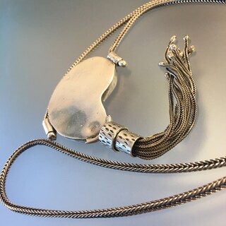 Ammonite Fossile Con Bocca Vendita Online