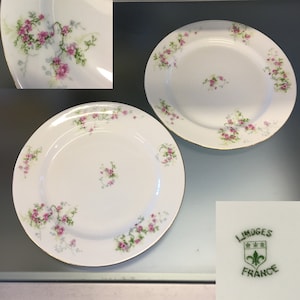 Limoge France Rose Trellis Two Dinner Plates, 10 Inch Plates Limoges France, Pink Floral Sprays Limoges France, Wedding Gift