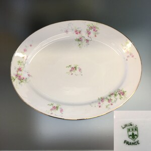 Limoge France Rose Trellis Oval Serving Platter, Serving Plate Limoges France, Pink Floral Sprays Limoges France, Wedding Gift, Housewarming