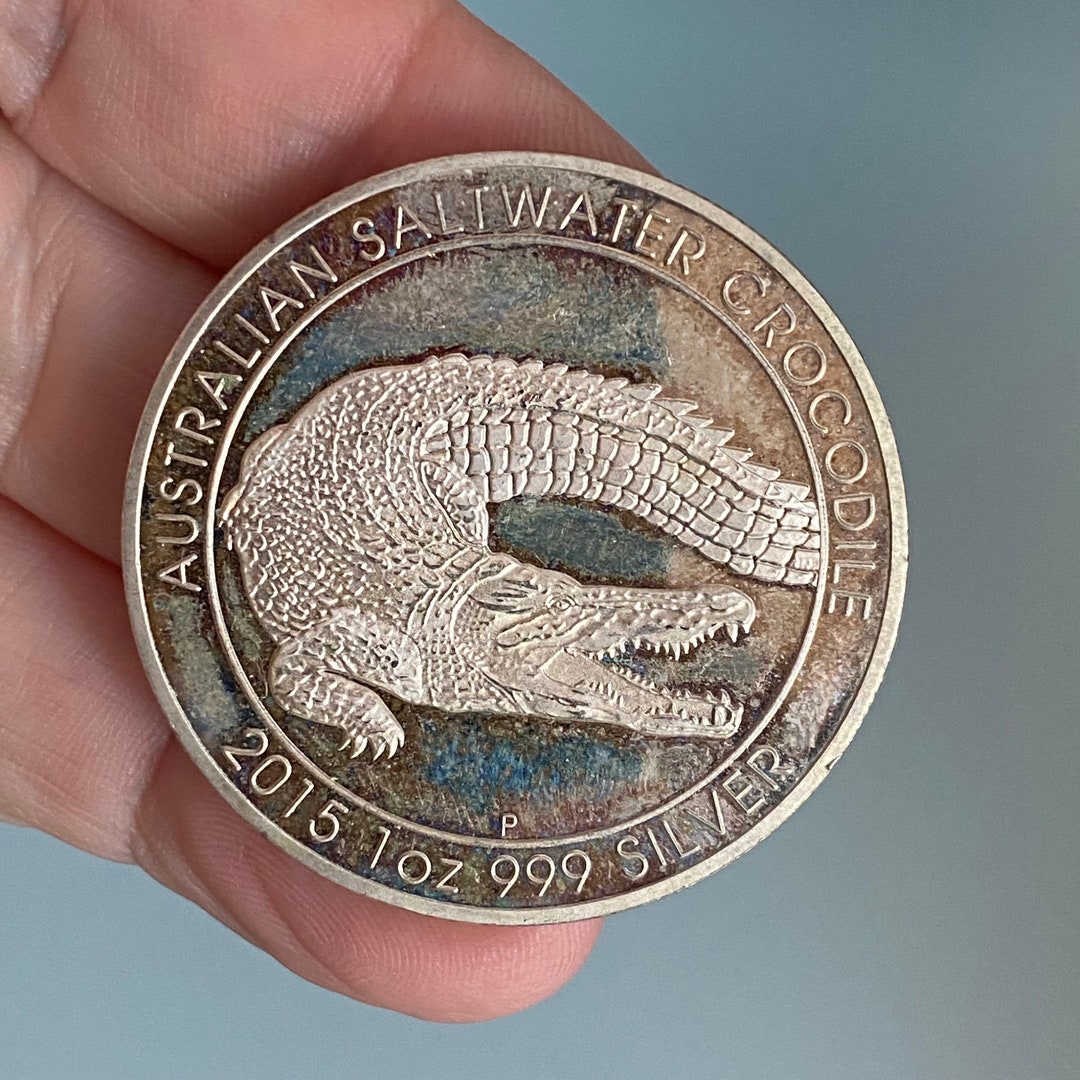 2015年オーストラリアクロコダイル1onシルバー il_1080xN.5202664694_7qkj.jpg