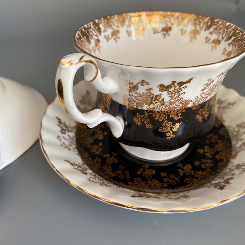 Regal Series by ROYAL ALBERT Tea Cup & Saucer Set in Black White and ...