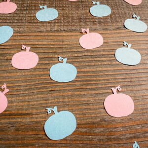 Confeti para baby shower con pequeñas calabazas para revelar el género del bebé. Calabazas rosas y azules.