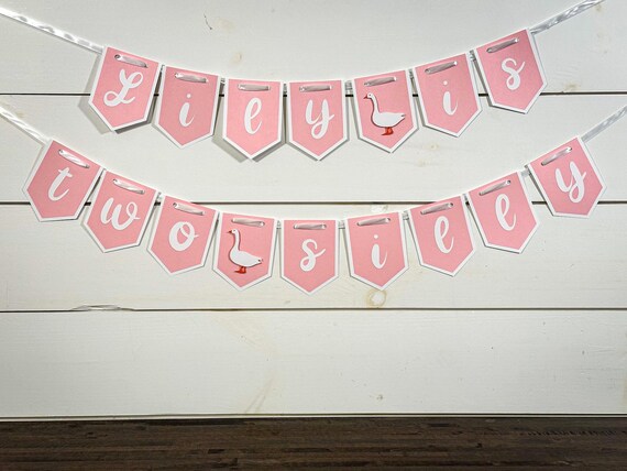 Two Silly Banner, Silly Goose 2nd Birthday Decor