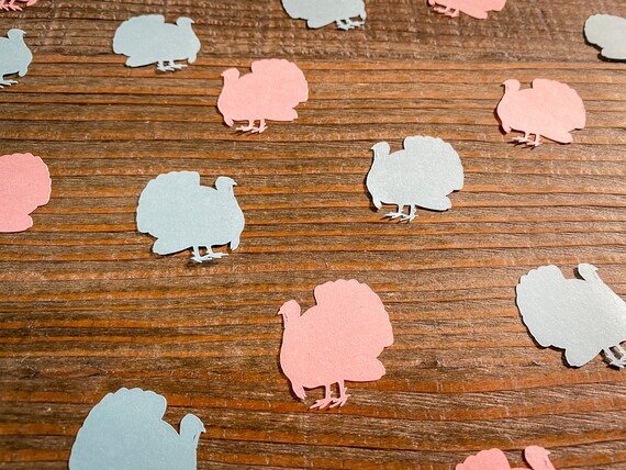 Turkey Gender Reveal Confetti: Pink & Blue Baby Shower Decor