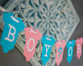 Gender Reveal Baby Shower Banner
