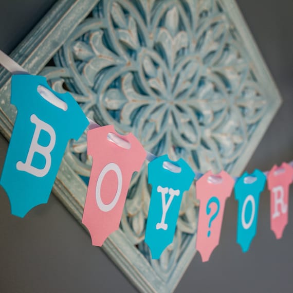 Gender Reveal Baby Shower Banner