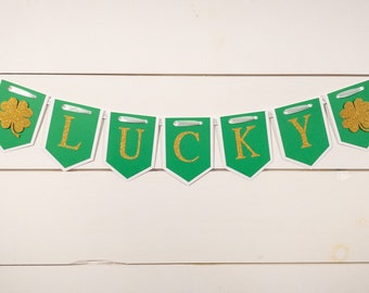 Lucky St. Patrick's Day Banner