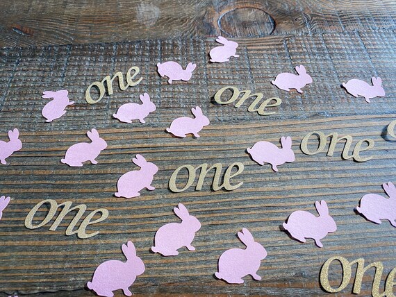 Somebunny is One Pink Bunny and Gold One Confetti