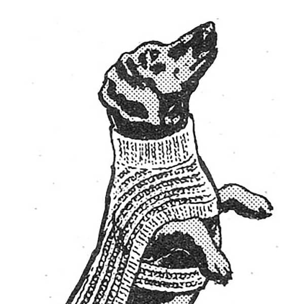 Dog Sweater Sizes 10-12-14-16-18 Knitting Pattern Knitted Coat Cover-Up PDF Instant Download