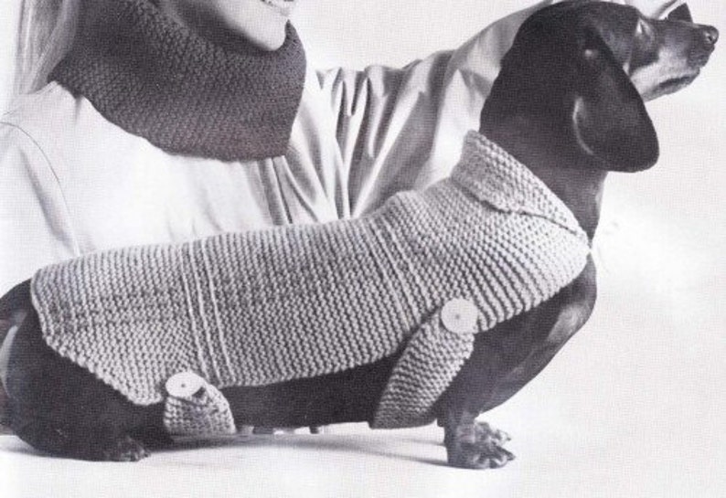 etsy dachshund sweater