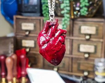 May include: A silver chain necklace with a red anatomical heart pendant. The heart is detailed and realistic, with a textured surface.