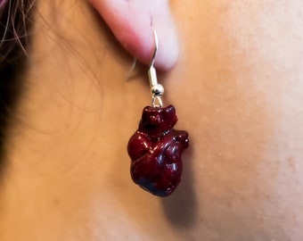 Könnte beinhalten: Ein Paar silberne Ohrringe mit einem realistischen roten anatomischen Herz-Anhänger. Das Herz ist detailliert mit einer strukturierten Oberfläche und einem leichten Glanz.