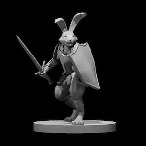 Harengon Adventurer | Wild Beyond Witchlight | DnD 5e Tabletop Mini | 28mm