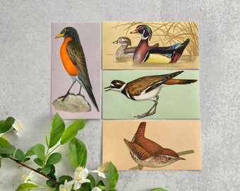 Vintage bird flashcards collection of 4: Killdeer, Wood duck, Robin, Winter wren; 1962 McGraw Hill