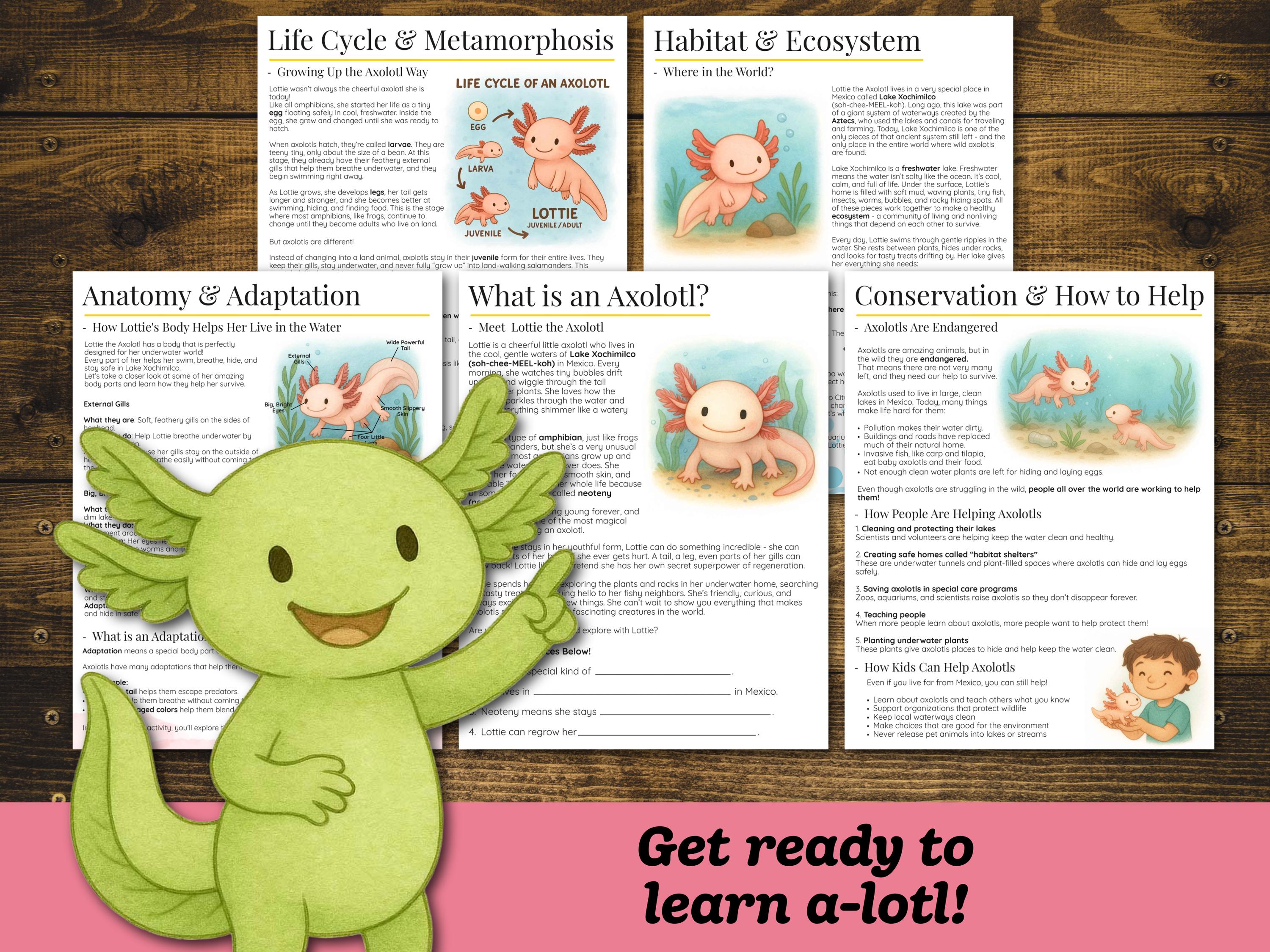 Axolotl Unit Study: Early Elementary Ages 4-9 (digital Download ...