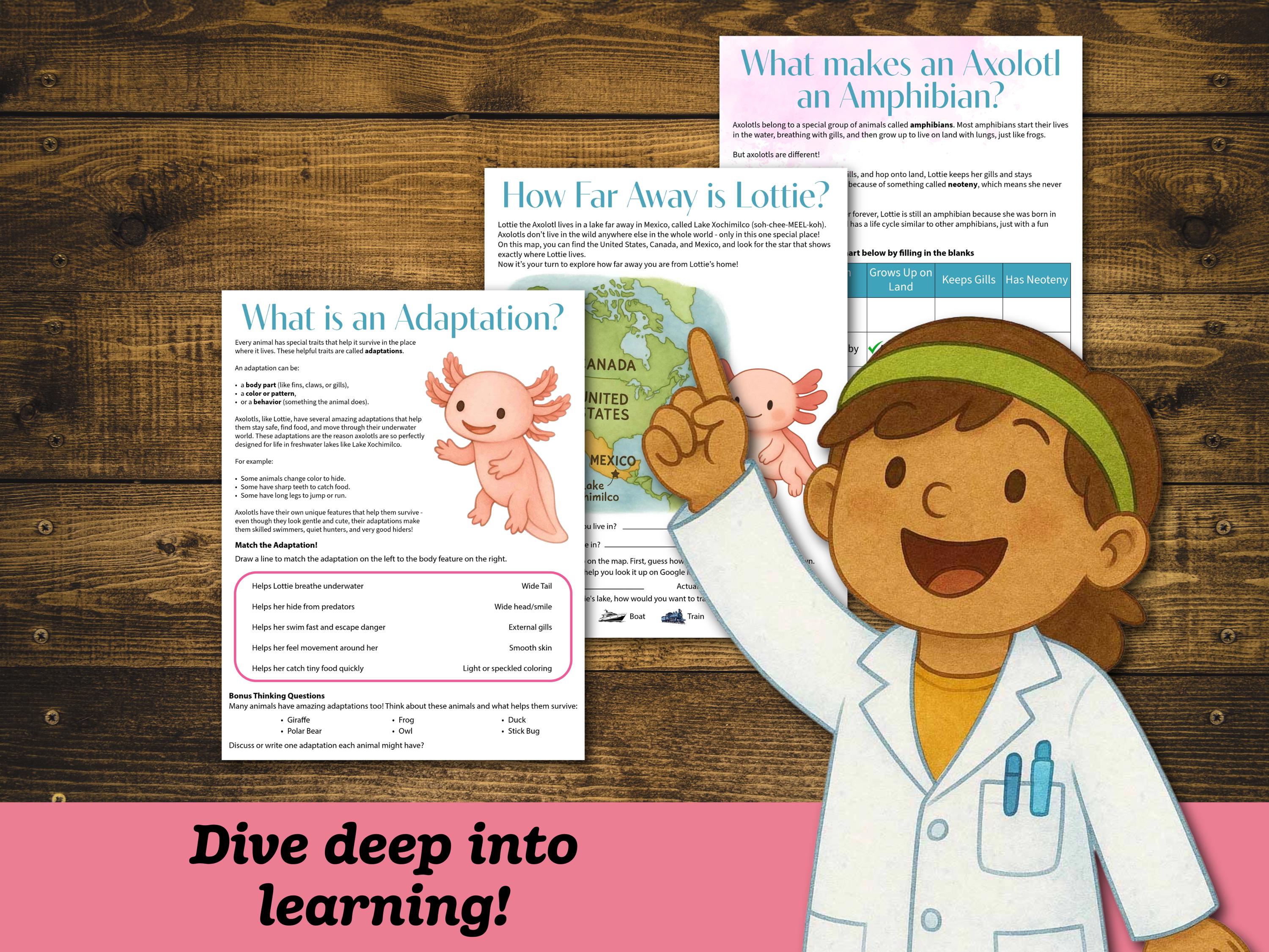 Axolotl Unit Study: Early Elementary Ages 4-9 (digital Download ...