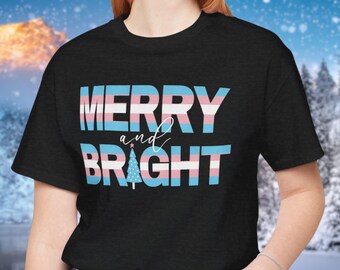 Christmas Transgender Shirt, Trans Flag Holiday Sweatshirt, LGBTQ Clothing, Transgender Gift, Nonbinary Shirt, Subtle Pride Crewneck