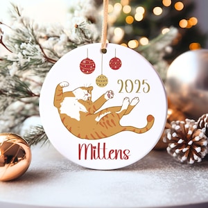 Custom Orange Cat Ornament, Custom Fat Cat Ornament, Custom Pet Ornament, Personalized Cat Mom Ornament, Cat Themed Gifts, Personalized Cat