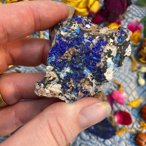 May include: A close-up of a rough-hewn rock with a vibrant blue mineral formation. The rock has a mix of tan, black, and white colors, with the blue mineral crystals adding a striking contrast. The background features dried flowers.