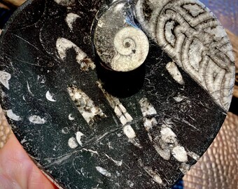 CONOCIMIENTO antiguo, plato en forma de corazón de Orthoceras, transformación, aumento de la vida útil, poderes sobrenaturales, éxito, equilibrio