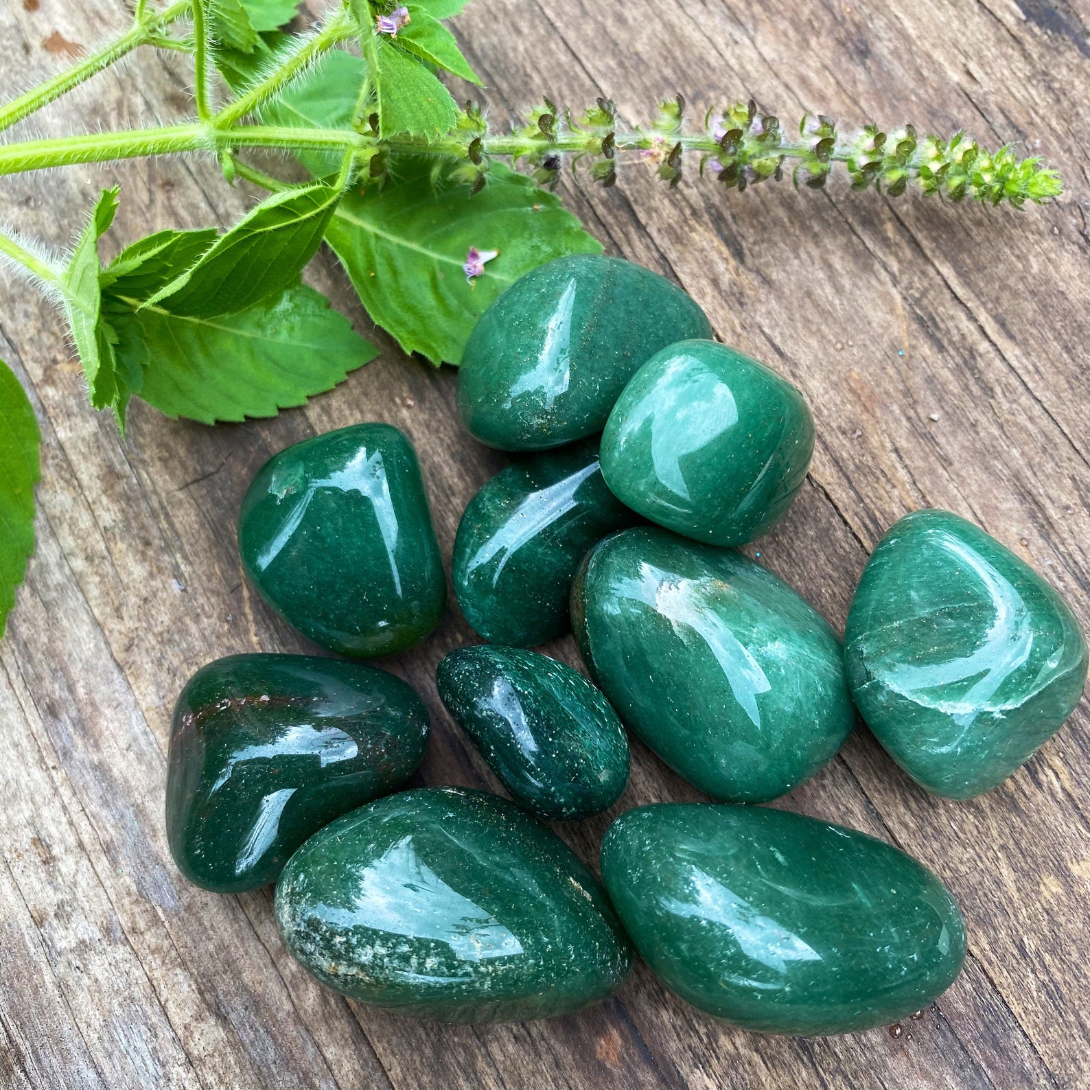Green Aventurine Abundance LUCK Money Heart Chakra Humor Etsy