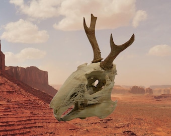 Roe Jackalope Skull: North American Oddities Decor, Aged Bone Effect