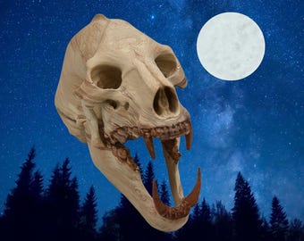 Werewolf Skull, World Oddities Decor, Aged Bone Effect
