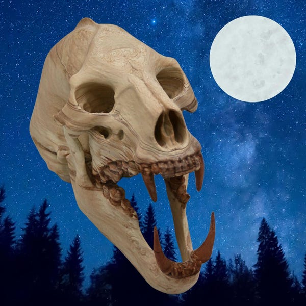 Werewolf Skull, World Oddities Decor, Aged Bone Effect