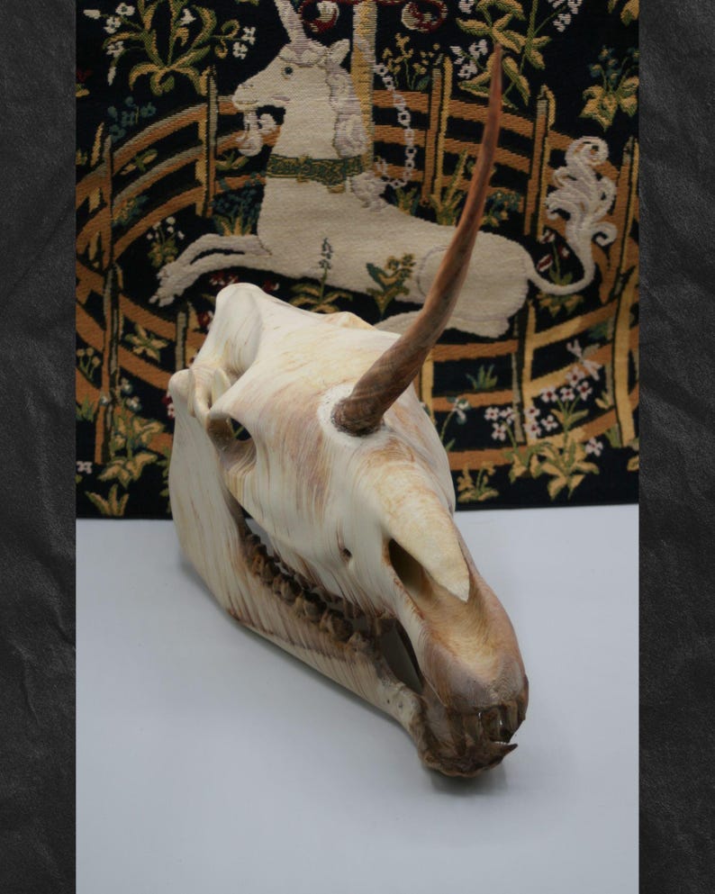 K&ouml;nnte beinhalten: Ein detaillierter, cremefarbener Einhorn-Sch&auml;del mit einem langen, braunen Horn. Der Sch&auml;del hat sichtbare Z&auml;hne und ist vor einem Wandteppich mit einem Einhorn platziert. Ein einzigartiger Dekorationsartikel.