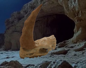 Mudhorn Skull replica Inspired by the Star Wars Mandalorian Universe