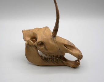 1 of 1 reworked, 1/4 scale Unicorn of Nightmares : North American Oddities Decor, Aged Bone Effect #1