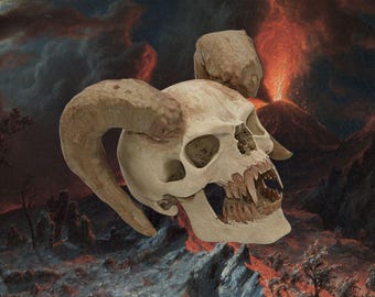 life sized Ink aged Vampire Devil textured skull with ribbed horns