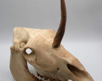 1 of 1 reworked, Unicorn of Nightmares: North American Oddities Decor, Aged Bone Effect #2
