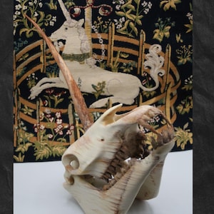 K&ouml;nnte beinhalten: Eine geschnitzte Knochenskulptur eines Sch&auml;dels mit einem langen, spitzen Horn. Der Sch&auml;del ist cremefarben mit sichtbarer Textur. Der Hintergrund zeigt einen Wandteppich mit einem Einhorn-Design und floralen Elementen.