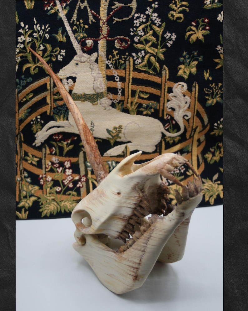 K&ouml;nnte beinhalten: Eine geschnitzte Knochenskulptur eines Sch&auml;dels mit einem langen, spitzen Horn. Der Sch&auml;del ist cremefarben mit sichtbarer Textur. Der Hintergrund zeigt einen Wandteppich mit einem Einhorn-Design und floralen Elementen.