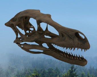 Dark Bone Velociraptor Skull – Aged Fossil Replica | 3D Printed Display
