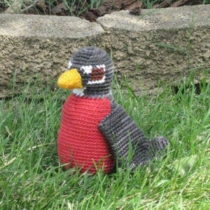 Grayson the American Robin Crochet Pattern
