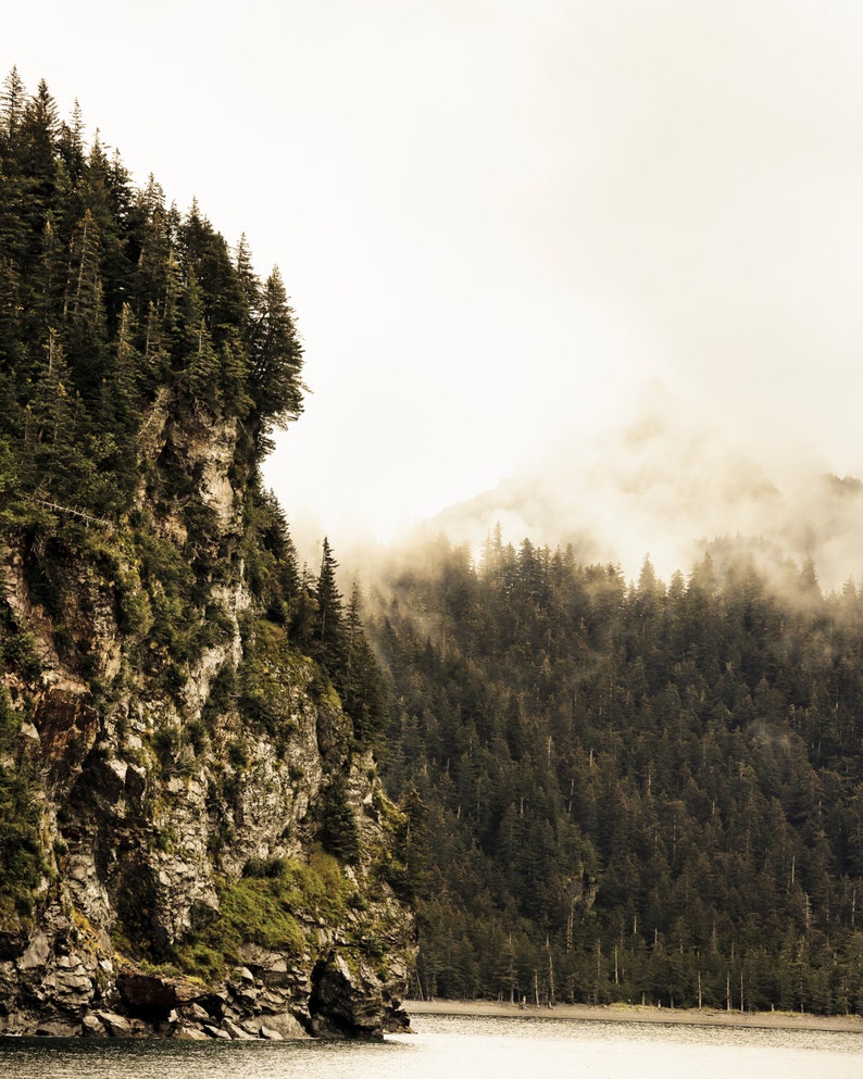 Alaska Landscape Photography, Kenai Fjord Alaska, Faded, Pine Trees