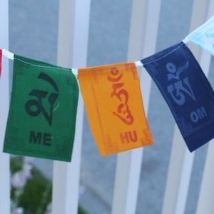 May include: A string of colorful prayer flags with Tibetan characters and the words "OM", "HU", "ME", "PE", and "MANE" printed on them.
