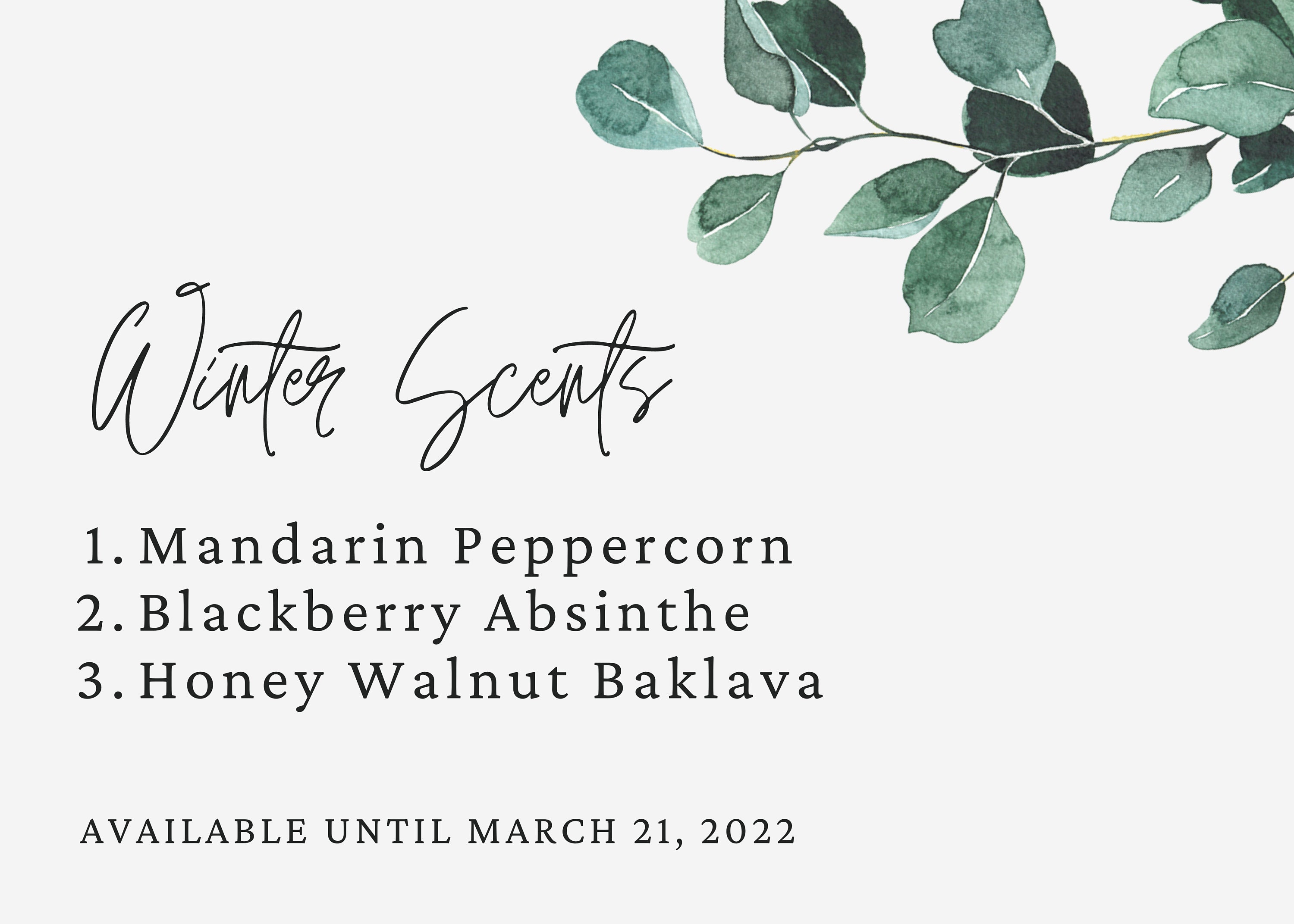 Eucalyptus Bridal Shower Favors Spring Bridal Shower Boho Etsy