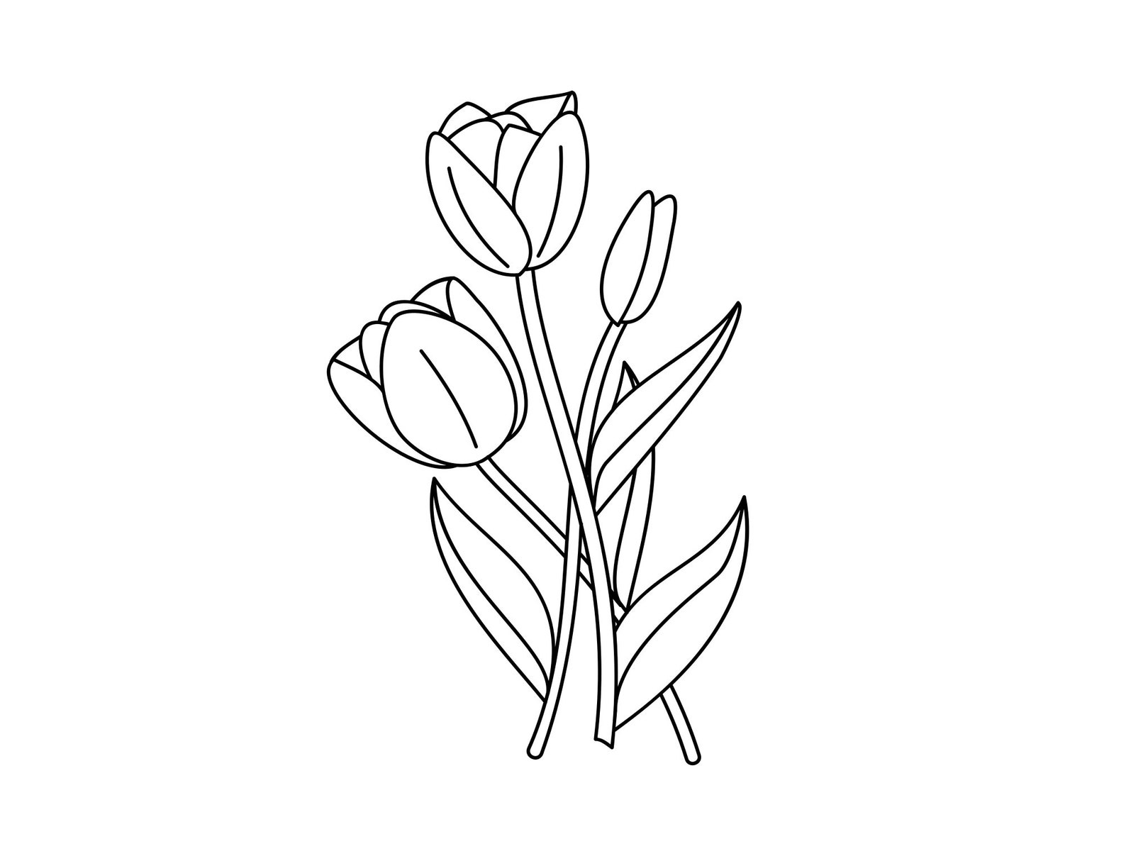Single Line Tulip Drawing File SVG Digital Download - Etsy
