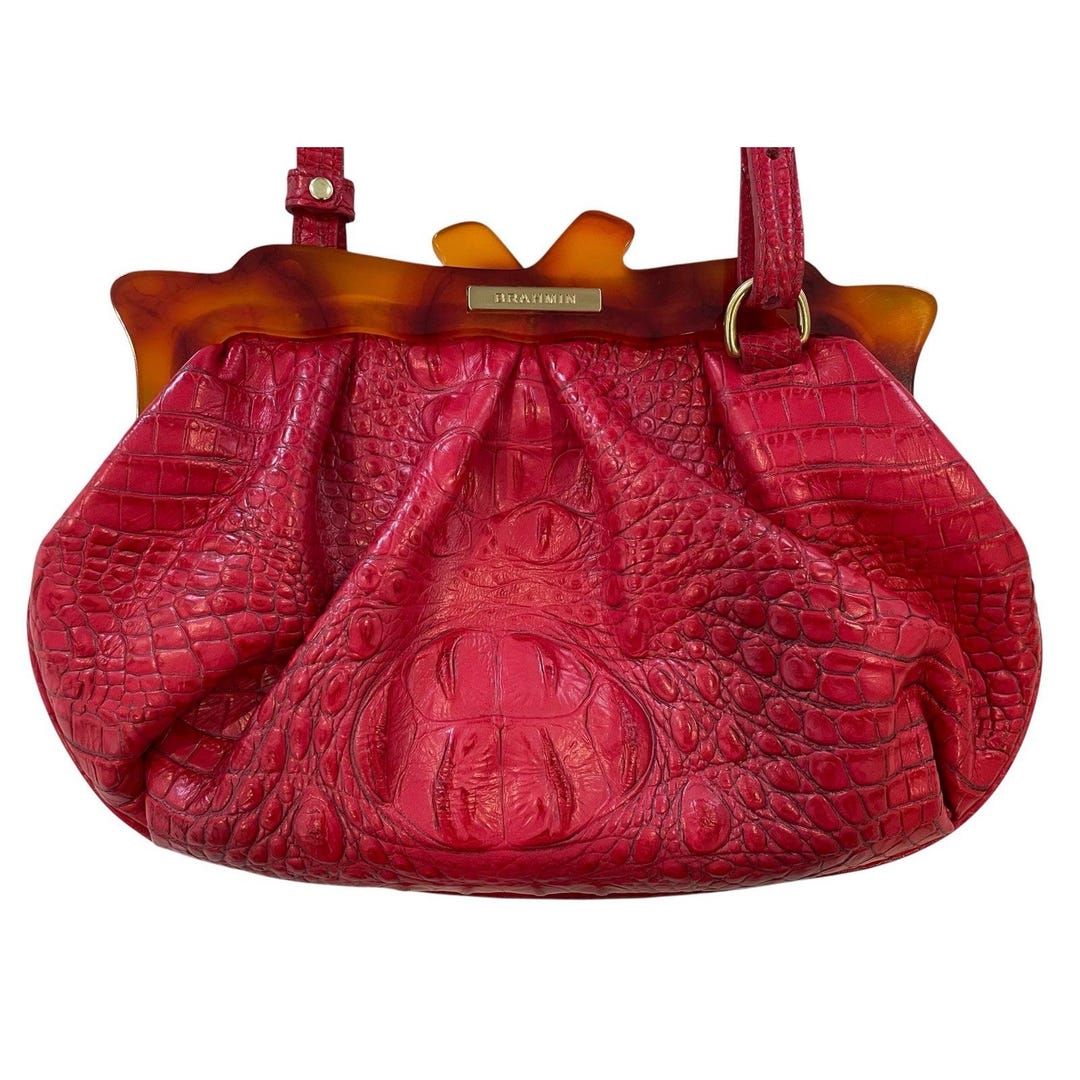 Brahmin Avril Raspberry Melbourne Tortoise Lucite Shoulder Bag