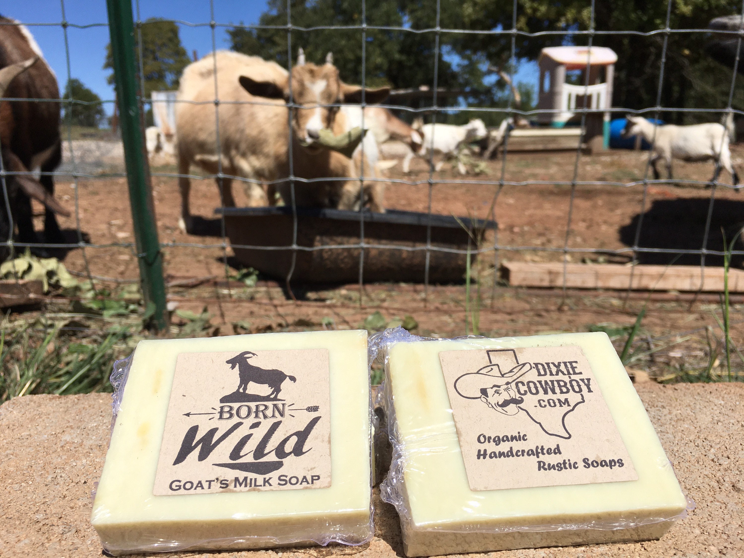 GOAT'S MILK Soap Born Wild Soap Co. Bar Texas Farm Raised ...